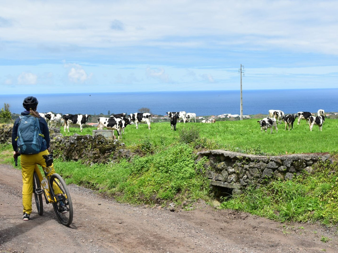 Bicicletaria Azores-蓬塔德尔加达必去景点