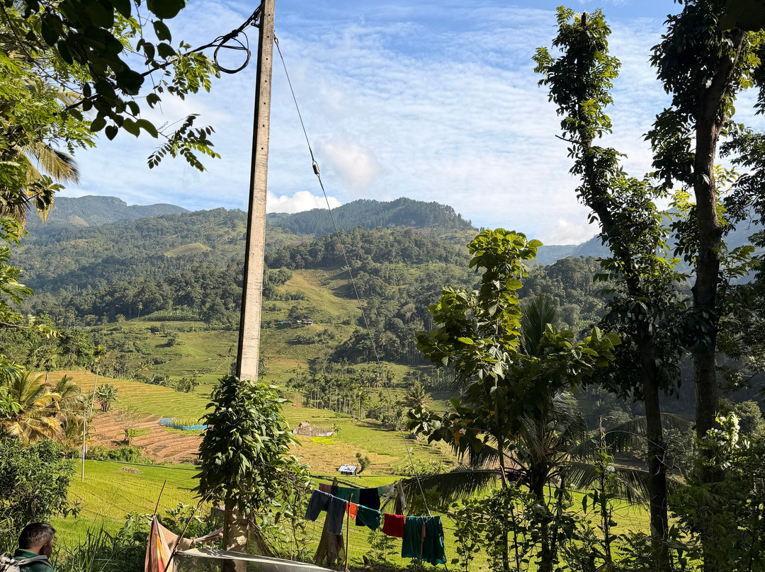 Knuckles Nature Tours-Teldeniya必去景点