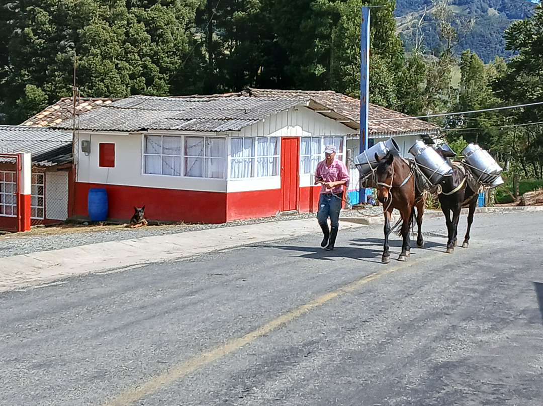 L'Échappée Colombie-麦德林必去景点