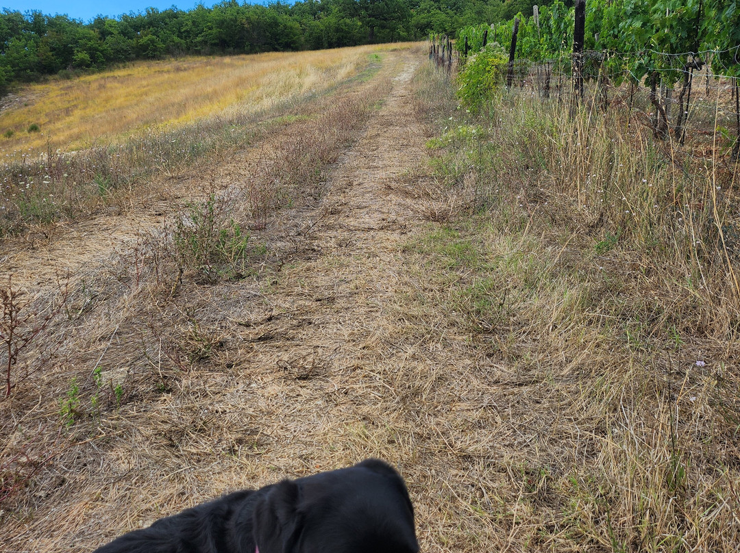 Agriturismo Ca Battista主图