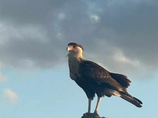 Kaishi Travel-Riohacha必去景点