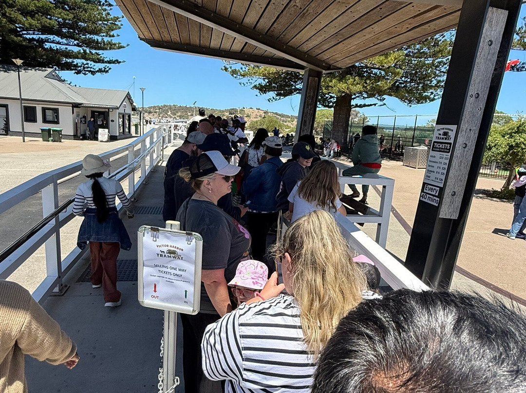 Victor Harbor Horse Drawn Tram-维克多港必去景点