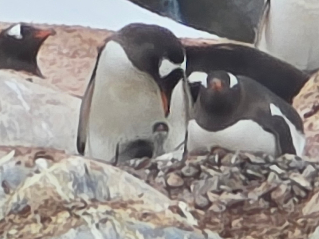 Wayfinders-乌斯怀亚必去景点