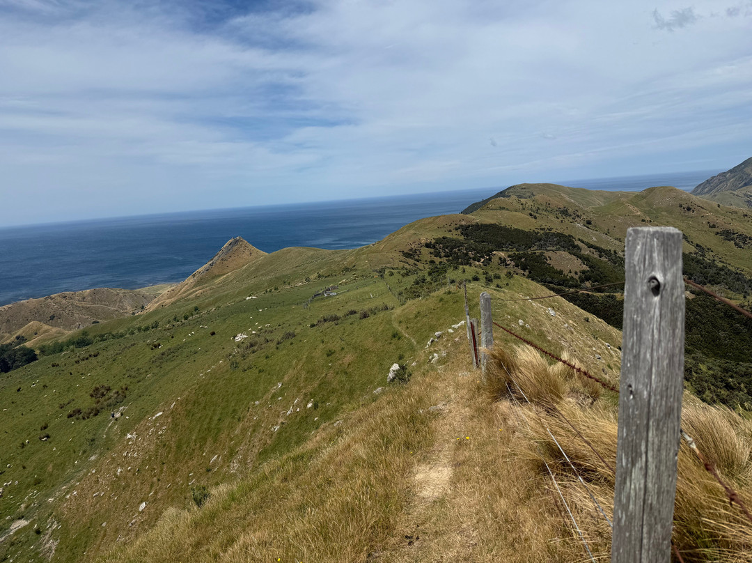 Tora Coastal Walk-马丁堡必去景点