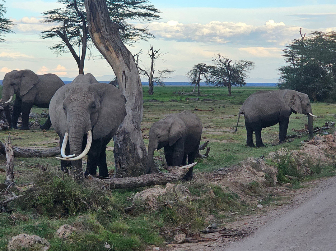 Tourfix Safaris Kenya-Mara North Conservancy必去景点