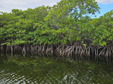 Biscayne National Park Institute-霍姆斯特德必去景点
