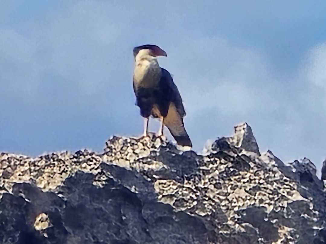 Washington Slagbaai National Park-Rincon必去景点
