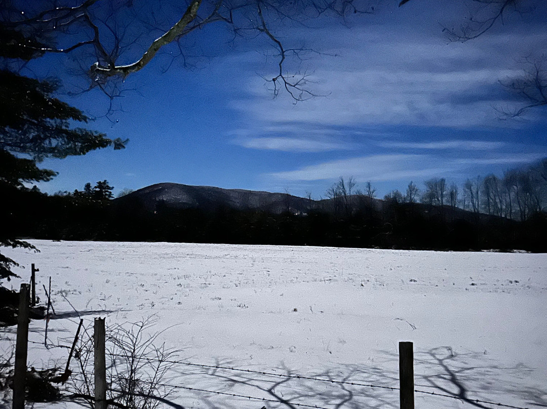 Orchard Farmhouse NH主图