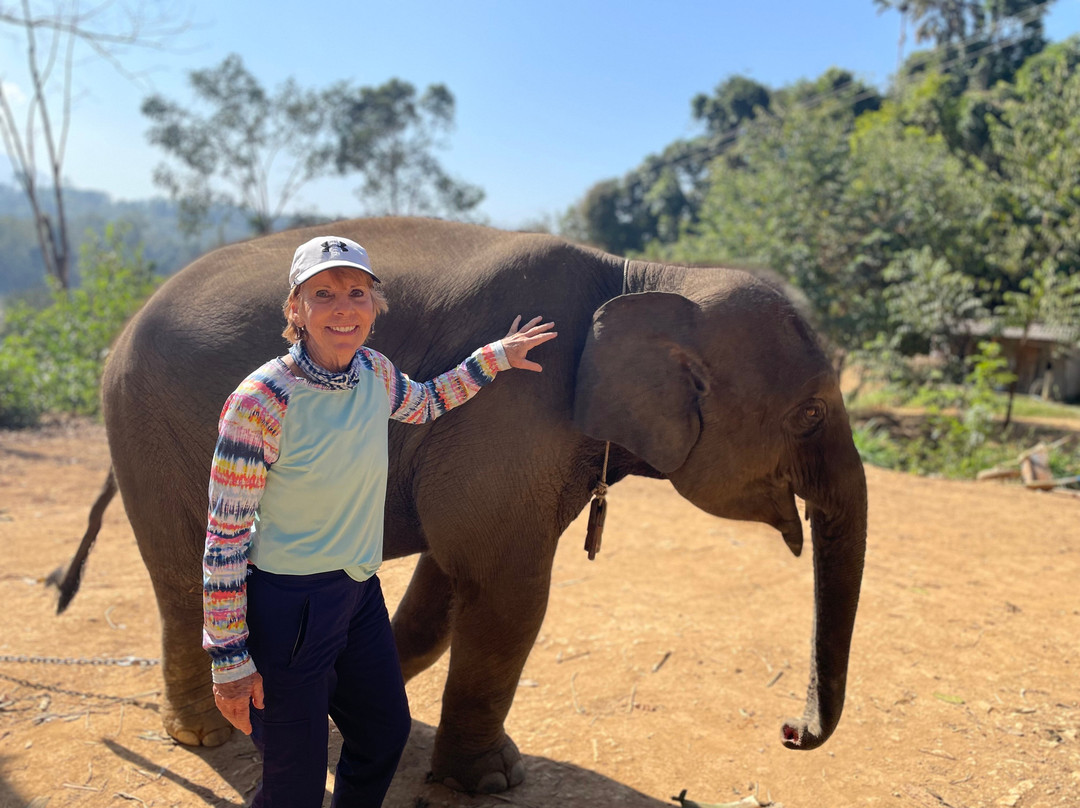 Elephant Village Sanctuary & Resort-琅勃拉邦必去景点