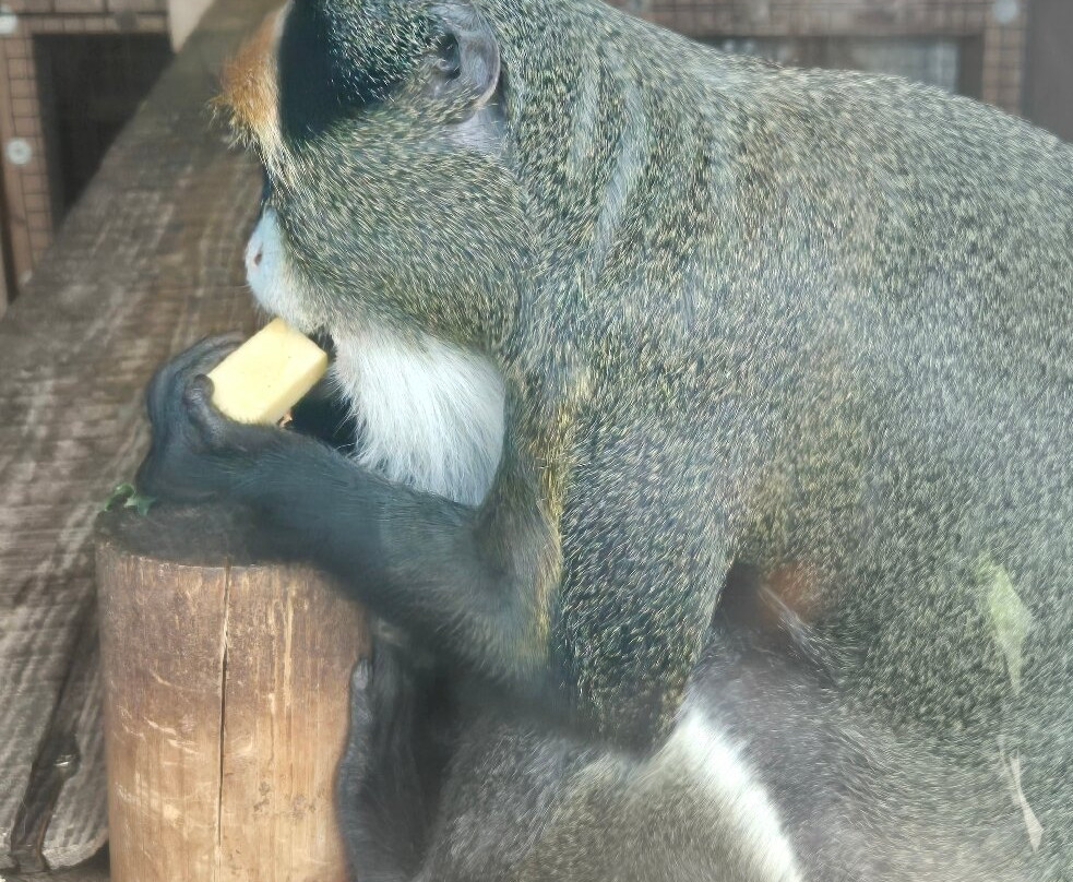 Fife Zoo-库珀必去景点