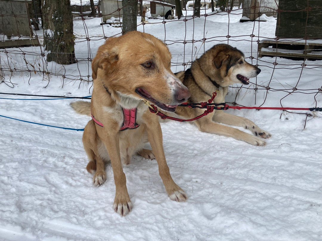 Ranch Robert-Brownsburg-Chatham必去景点