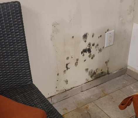 Wyndham Westfield主图