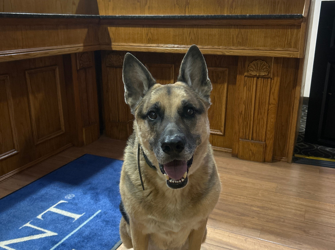 Baymont by Wyndham Chester IL主图