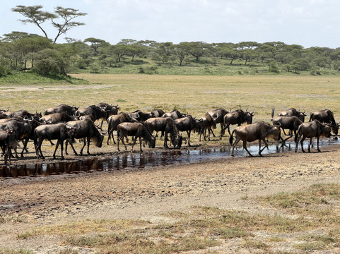 Mauly Tours & Safaris-莫西必去景点