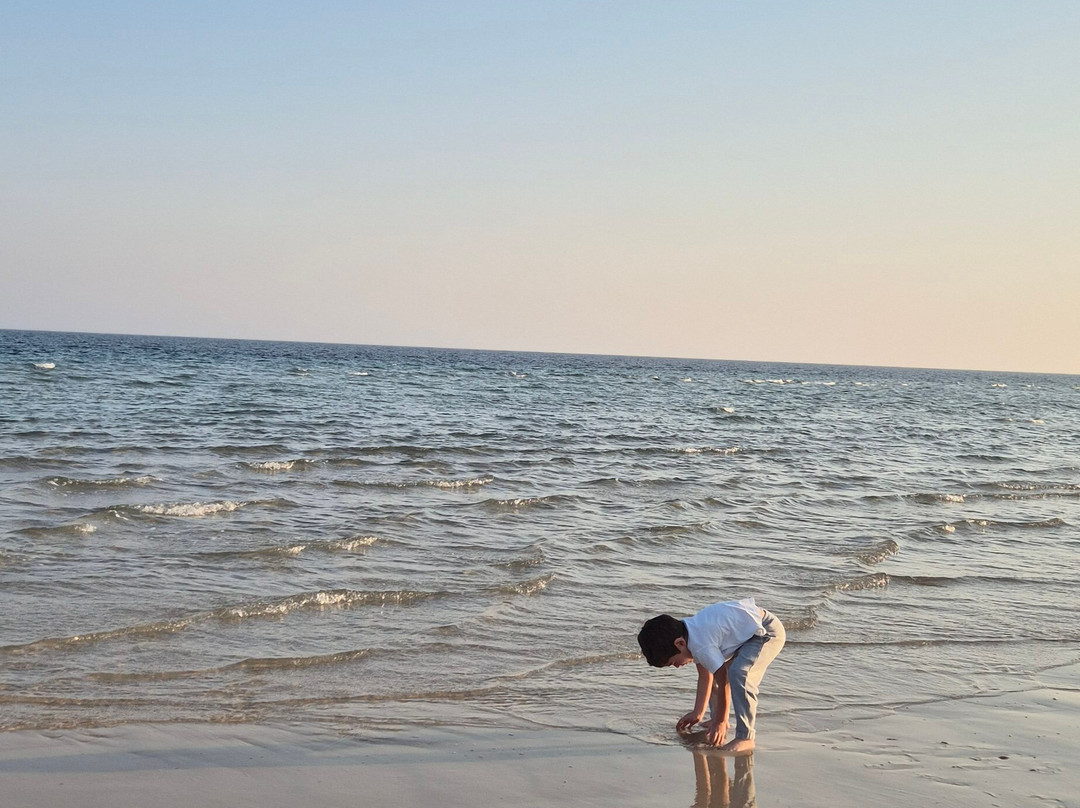 365 Adventures-多哈必去景点