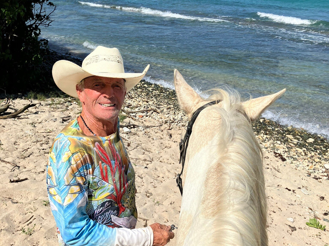 Equus Rides Horseback Riding St. Croix-Frederiksted必去景点