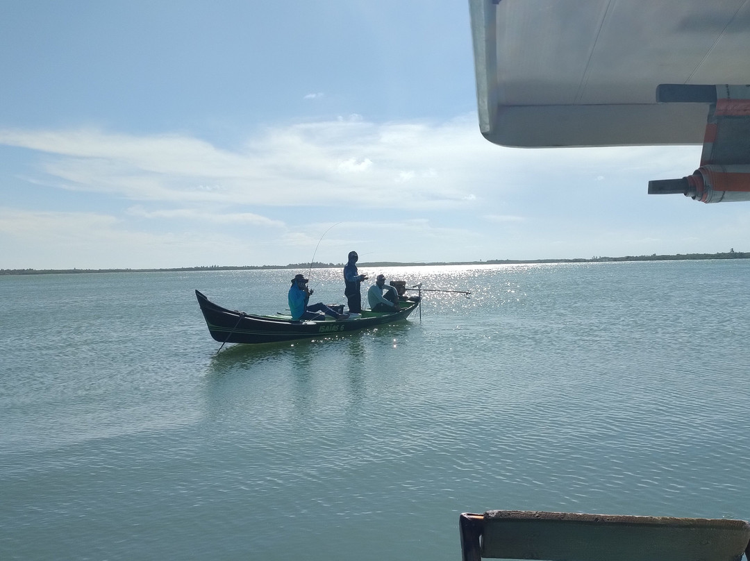 Farol da Foz Ecoturismo-Piacabucu必去景点