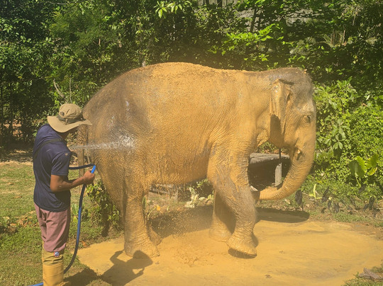 Lanta Island Elephant Lover-Khlong Hin必去景点