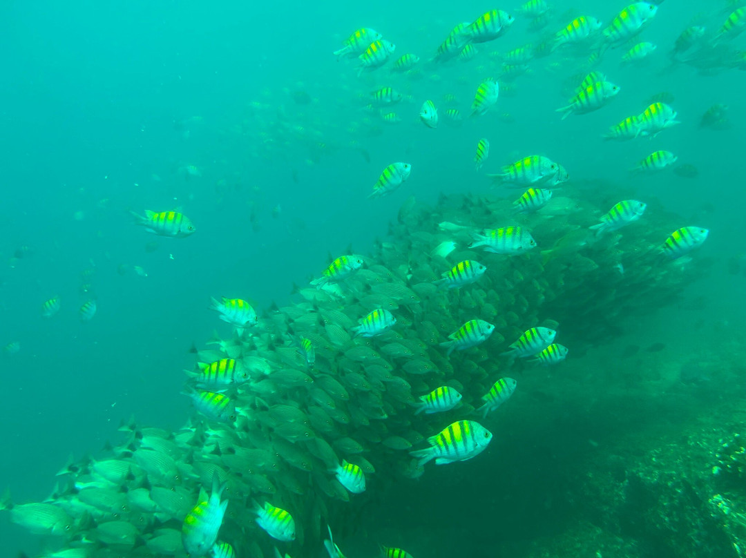 SCUBA Diving at Summer Salt Dive Center-Playas del Coco必去景点