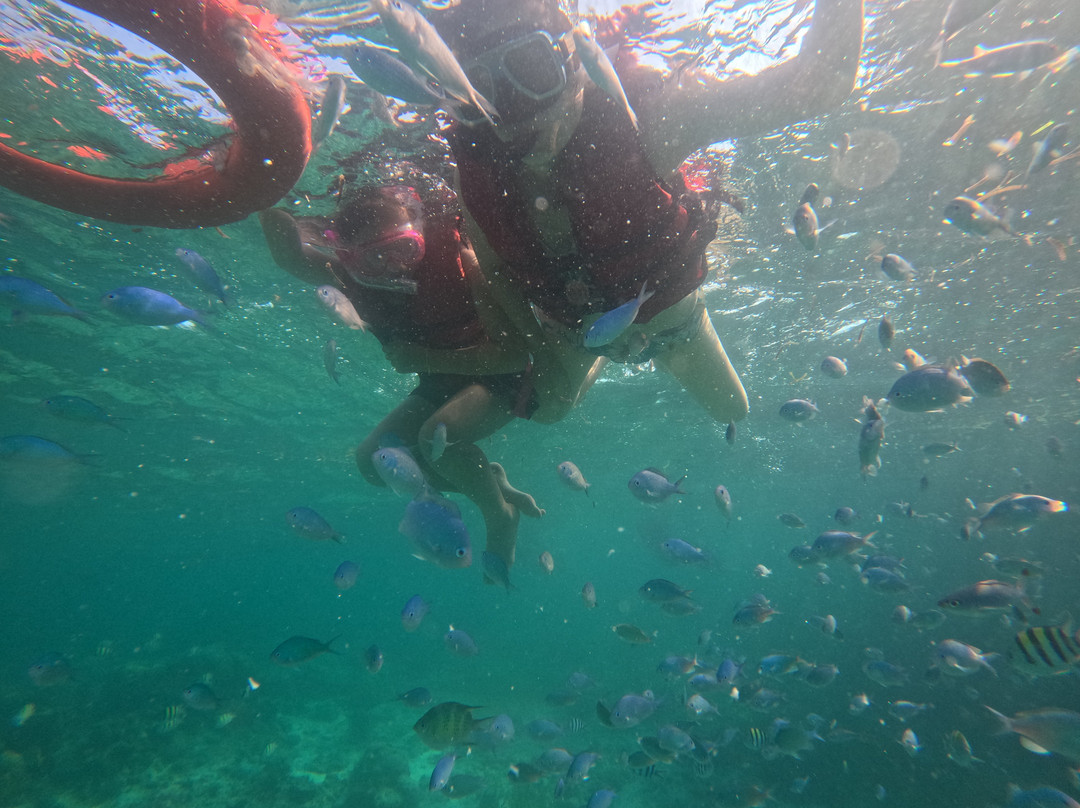 CSP Travel & Tours-宿雾市必去景点