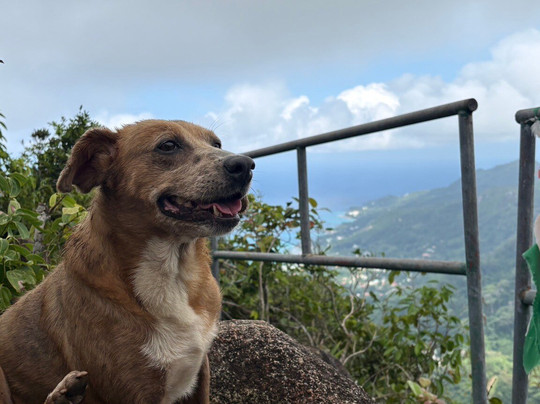 Dans Gallas Trail-博瓦隆必去景点