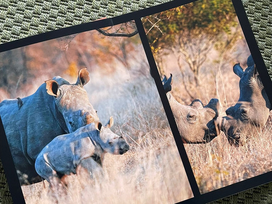 EverseenAfrica-霍德斯普鲁特必去景点