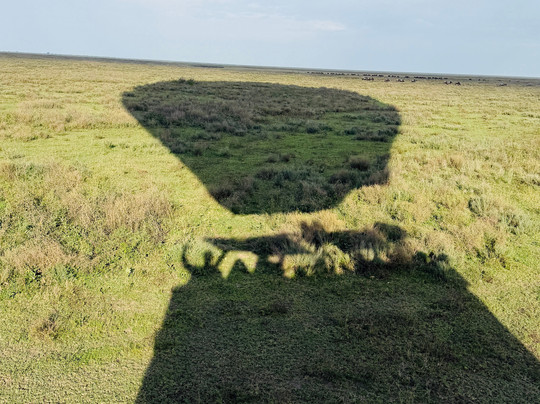 Nyssa Balloon Safaris-Seronera必去景点