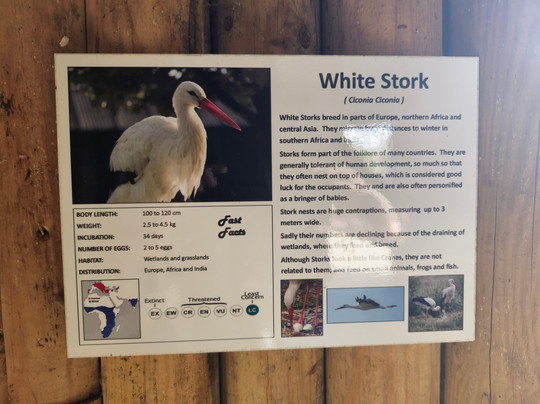 Hamerton Zoo Park-Sawtry必去景点