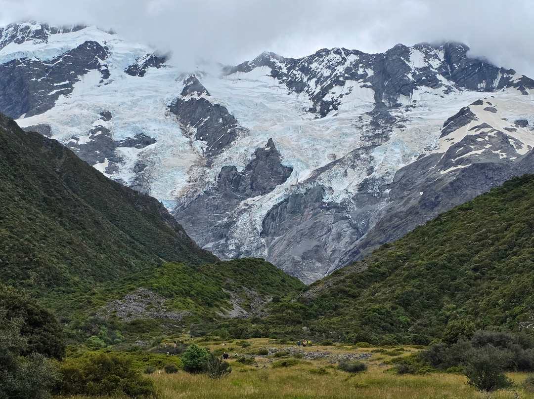 Stray-奥克兰中心地区必去景点