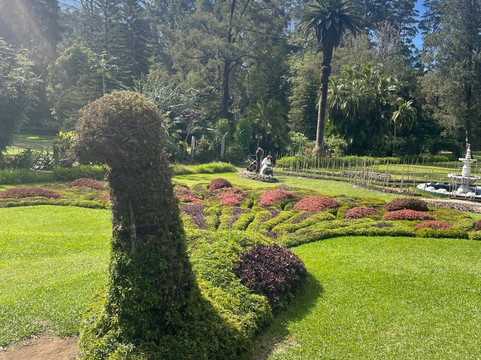 R&KTours-奴娃拉伊利雅必去景点