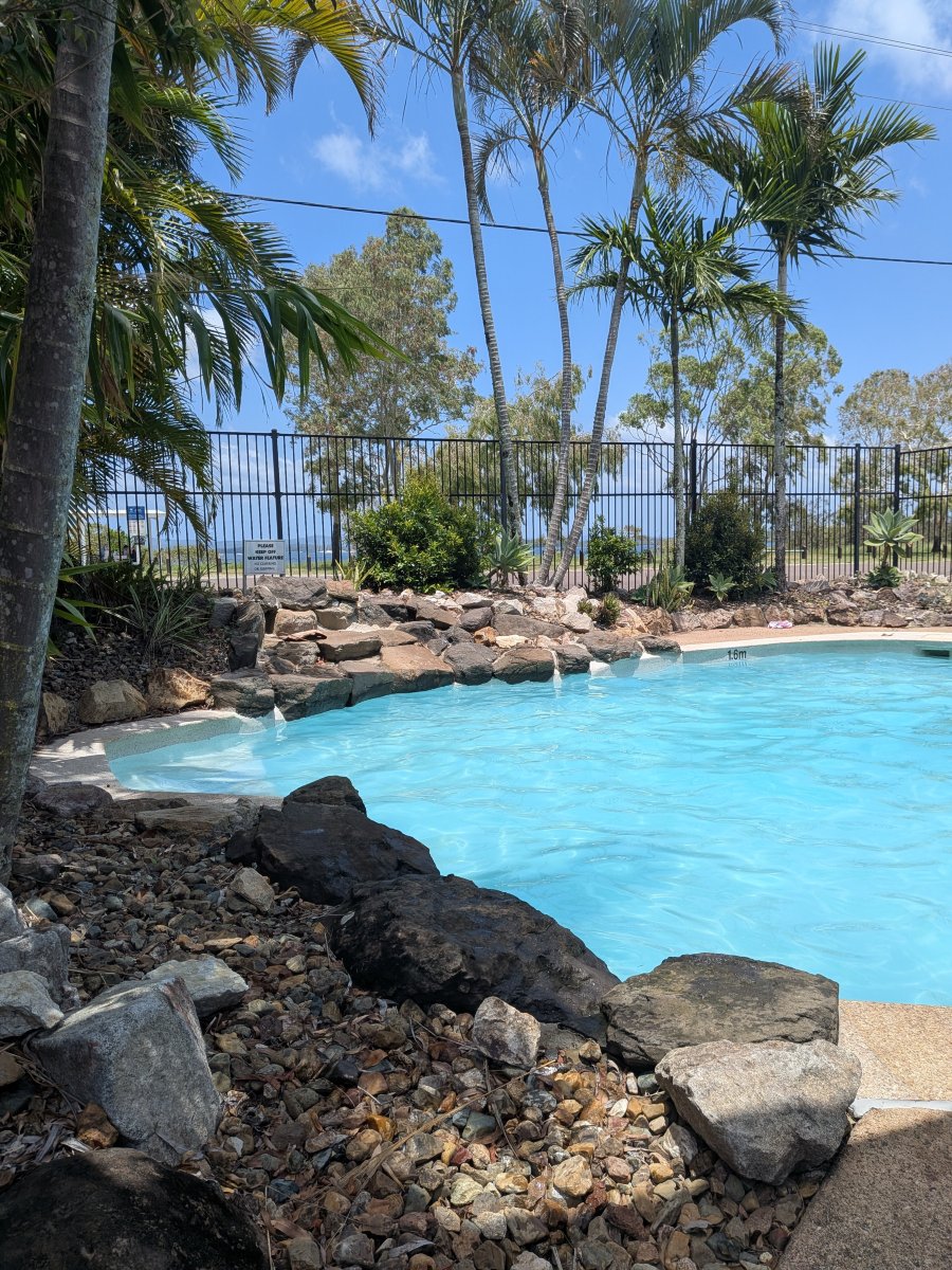 Dolphin Waters-官方