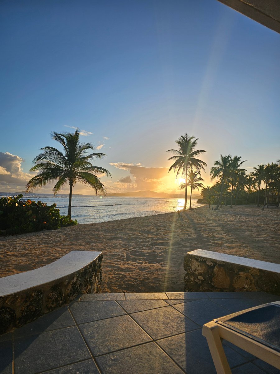 The Palms at Pelican Cove-官方