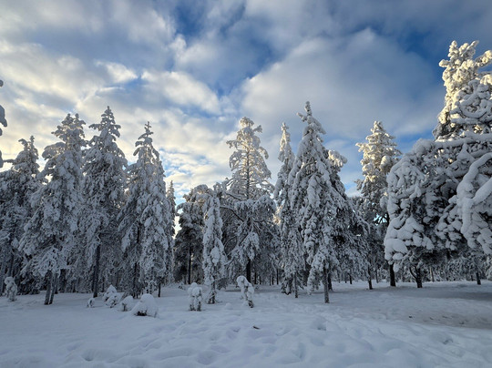 Ounasvaara Winter Trail-罗瓦涅米必去景点