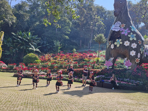 Tip Top Travel & Services-曼谷必去景点