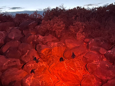 St Kilda Ferry-圣基尔达必去景点