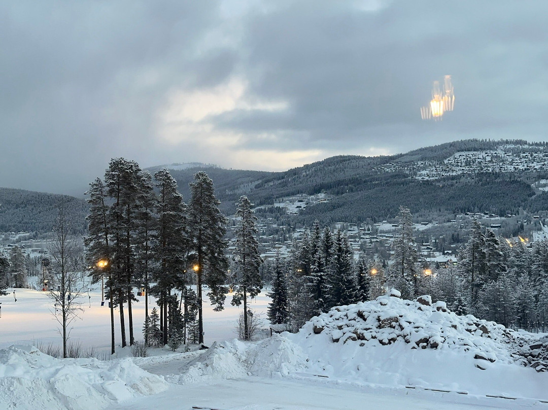 Trysil Alpine Lodge