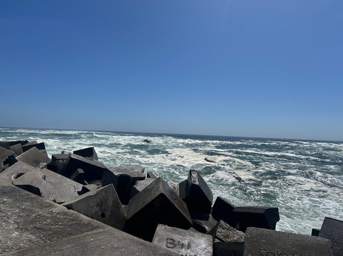 Bird Island Nature Reserve-兰伯特湾必去景点