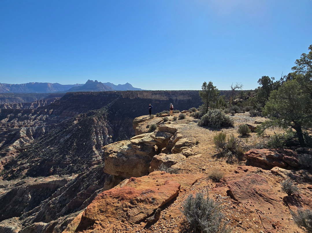 Zion Jeep Tours-斯普林代尔必去景点