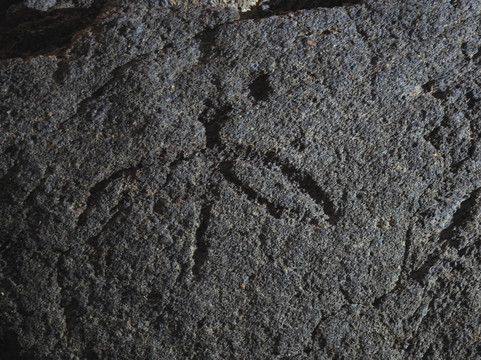 Waikoloa Petroglyph Field-威可洛亚必去景点