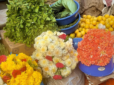 Gully Tours-班加罗尔必去景点