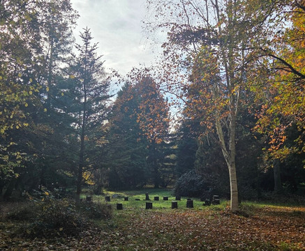 Thornham Walks-Eye必去景点