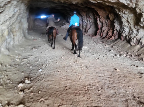 Cabacci Horse Trails-圣何塞必去景点