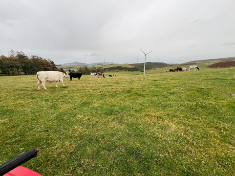 Perthshire Off Road Driving Centre-Glenfarg必去景点