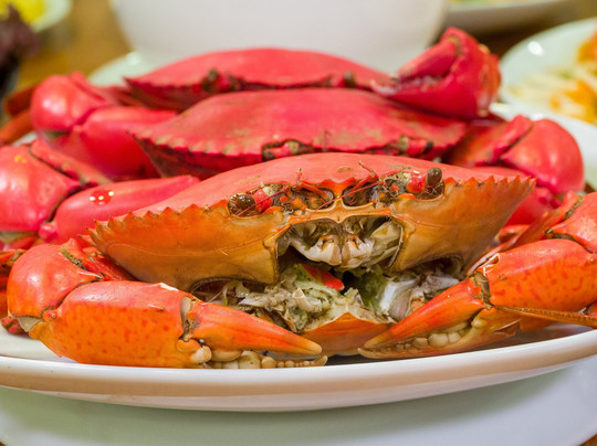 Peggy's Cove Resort主图