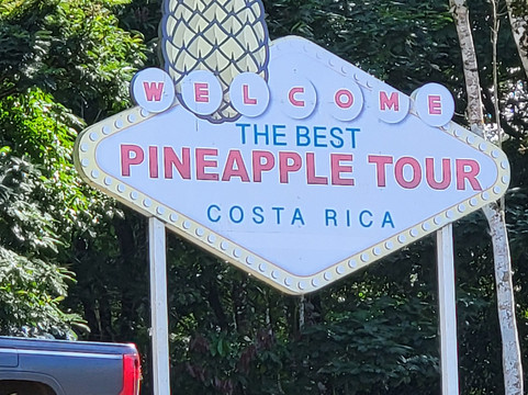 The Best Pineapple Tour Costa Rica-Rio Cuarto必去景点