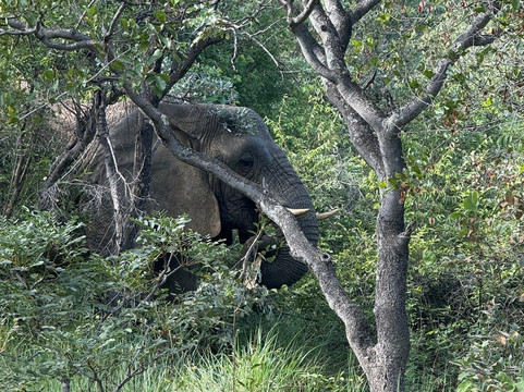Loisico Tours and Excursions-Bloubergstrand必去景点