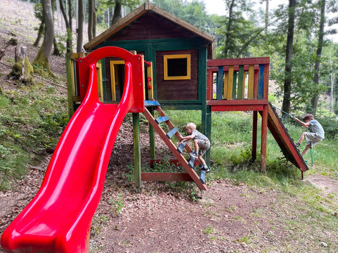 赫比森林酒店主图