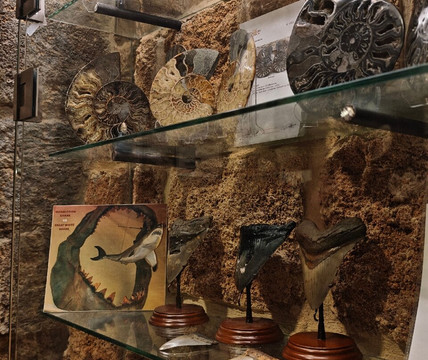 Memory of Time-朱拜勒必去景点