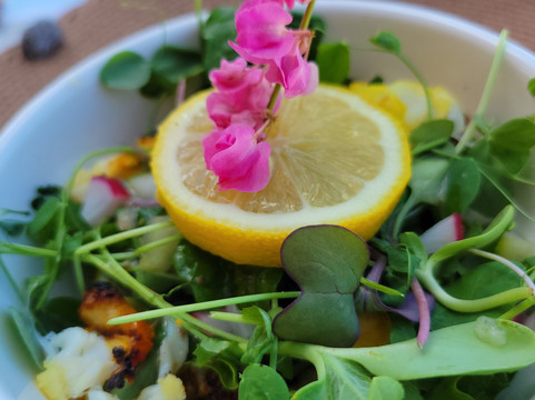 Scilly Cay-Island Harbour必去景点