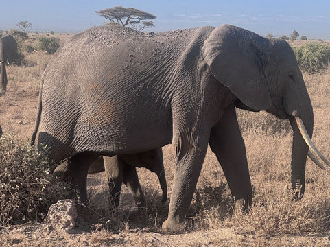 Insight Safari Holidays-Kanungu必去景点